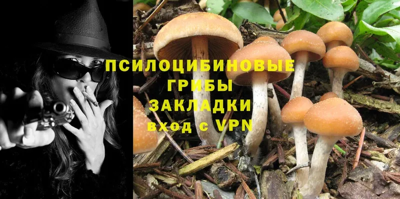 наркотики  Железногорск  Галлюциногенные грибы Magic Shrooms 